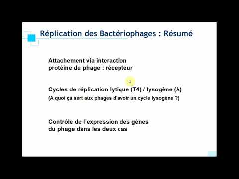 Microbio L2 Phage lambda, et Covid-19 2020