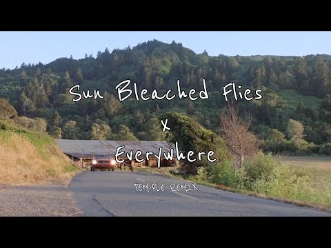 Sun Bleached Flies x Everywhere TEM-PLE REMIX