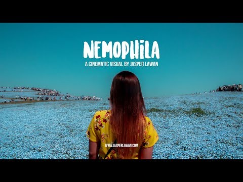 Nemophila - a Cinematic Visual by Jasper Lawan