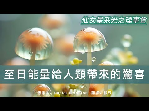 你的靈魂永遠不會選擇只在一個星系裡投生【仙女星系光之理事會】