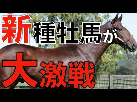 新種牡馬リーディングが三つ巴の大激戦！わずか1,000万差の熾烈な争い。