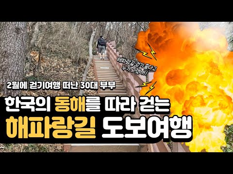 [해파랑길 종주] 한국의 순례길 국내 도보 여행, 이만한게 없지!! 준비물 지도 필요없음 국토대장정 #1