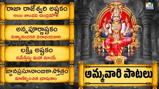 అంబ శాంభవి | నిత్యానందకారి | నమేస్తేస్తు మహామాయే | అమ్మవారి పాటలు | Ammavari Patalu | Bhakthi