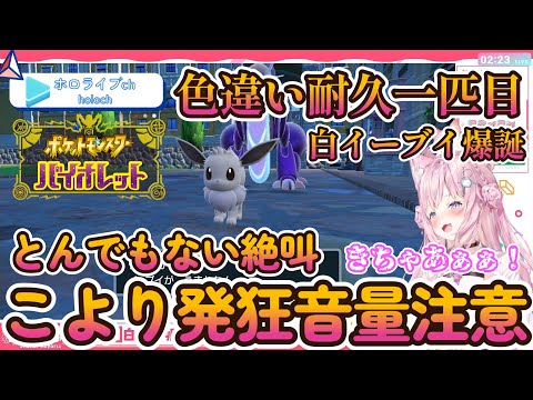 【ポケモンSV】こより発狂！耐久一匹目白ブイ！音量注意【博衣こより/ホロライブ】