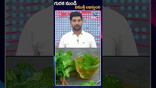 How to Stop Snoring? | Guraka | గురక నుండి విముక్తి లభిస్తుంది | ZEE Telugu News