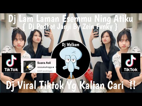 DJ LAM LAMAN ESEMMU NING ATIKU | DJ PEDHOT JANJI BY ZEIN FVNKY | DJ VIRAL TIK TOK YG KALIAN CARI !!