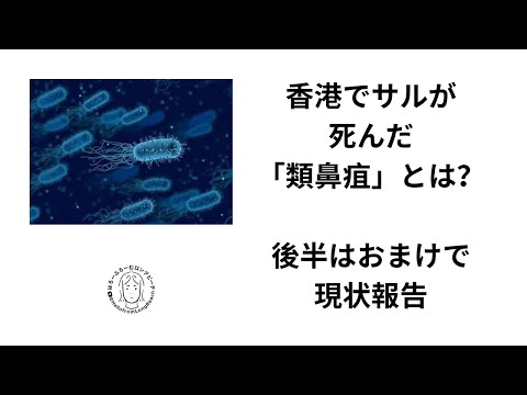 「類鼻疽」とは？後半は投資物件売却について