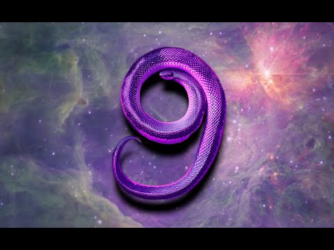 2025 is a NINE Vibration in Numerology #999  #yearofthesnake  #angelnumbers #2024predictions