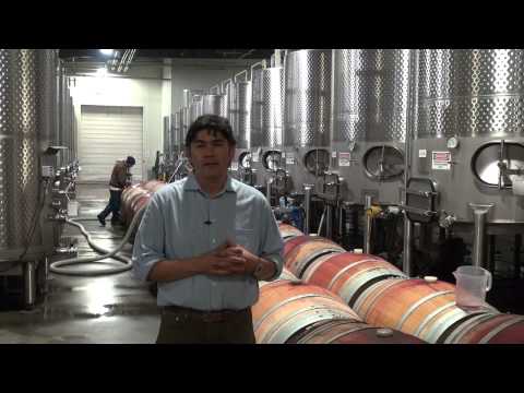 Mira Winemaker Gustavo Gonzalez explains Racking