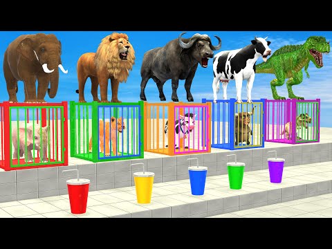 Cow Elephant Lion Gorilla T Rex Don't Choose The Wrong Drink CHALLENGE Animals Cage Game 3D