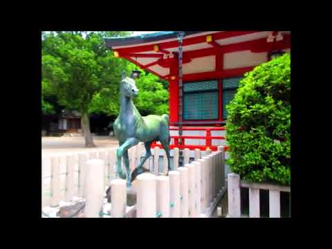 西宮神社・梅雨入り前の華やかに