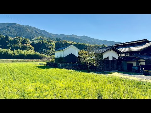 4K Japan Walk - Beautiful Japanese Countryside Village Morning Walk Gifu, Japan