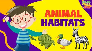 Animal Habitats | Animal Homes | Animals Video for Kids | Classification Of Animals On Habitat