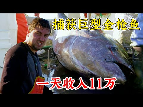 捕魚生死鬥：起猛了，釣到了巨型金槍魚，一天收入11萬！紀錄片