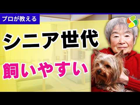 【保存版】高齢者が飼いやすい犬８選！トリマー監修、初心者や一人暮らしも♪