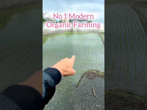 No. 1 modern organic farming #farming #organic #indianfarmer #taïwan   @farmingleaderOfficial