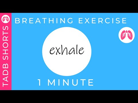 Stop a Panic Attack | Breathing Exercise | TAKE A DEEP BREATH #shorts