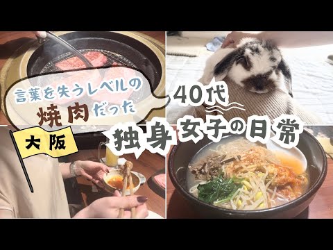 【40代独身vlog】ぼっち飯と衝撃的な絶品焼肉/好きなことだけの毎日