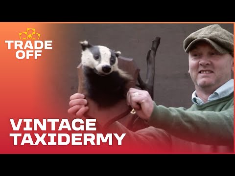 Drew Searches For Vintage Stuffed Animal Heads | Salvage Hunters | Trade Off