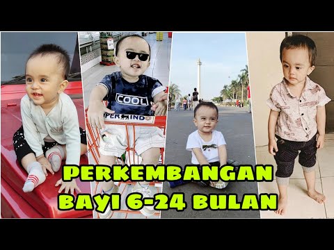 PERKEMBANGAN ANAK USIA 6-24 BULAN