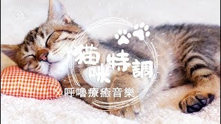 [Cat Special] Purring Healing Music#03