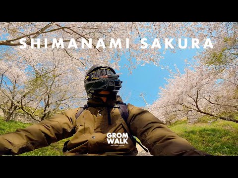 しまなみ海道でお花見グロム散歩！ 前編 【 モトブログ 】HONDA GROM Motovlog