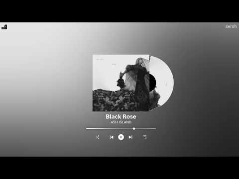 ASH ISLAND - Black Rose [More ROSES]