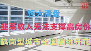 韭菜收入无法支撑高房价||鹤岗型城市全国遍地开花