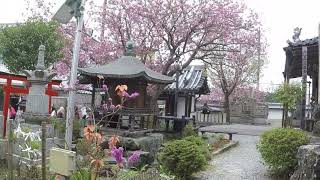 Mount Yoshinoyama, Nara, Japan