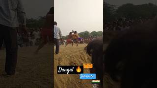 #dangal short video //🔥 dangal 🤼