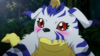 Gabumon AMV