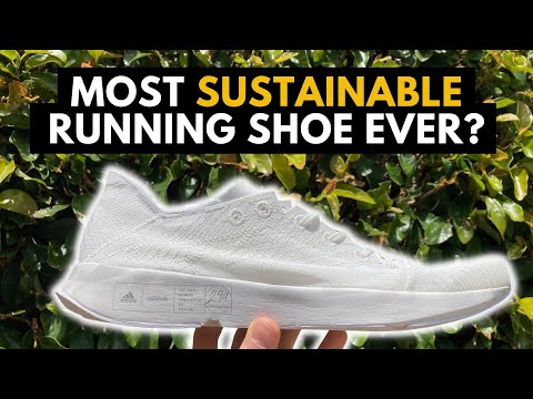 ADIDAS x ALLBIRDS FUTURECRAFT FOOTPRINT REVIEW | HOW DOES IT PERFORM?