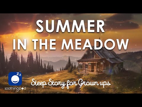 Bedtime Sleep Stories | 🏖 Summer in The Meadow 🌺 | Sleep Story for Grown Ups | Sleepy Summer Journey