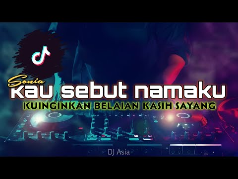 DJ KU INGINKAN BELAIAN KASIH SAYANG || SONIA KAU SEBUT NAMA KU || TERBARU 2024