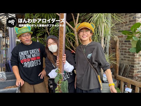 【ノーカット版】ひろえね〜さんのメラノクリサムを2mの登り棒に植替え