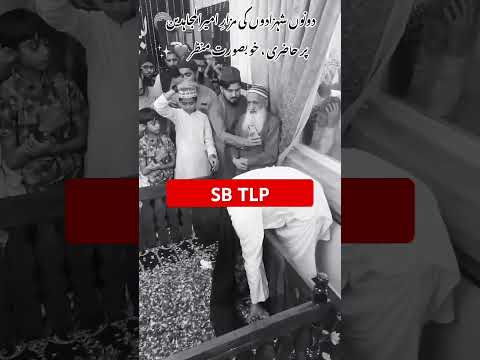 ANAS RIZVI & ALLAMA SAAD HUSSAIN RIZVI ENTRY DARBAR ALLAMA KHADIM HUSSAIN RIZVI #tranding #shots