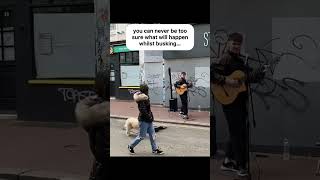 check out this cute little guy #renmakesmusic #busking #streetperformance #brighton