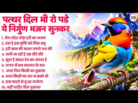 पत्थर दिल भी रो पड़े ये निर्गुण भजन सुनकर | Nirgun Bhajan | Satsangi Bhajan | Nonstop Bhajan