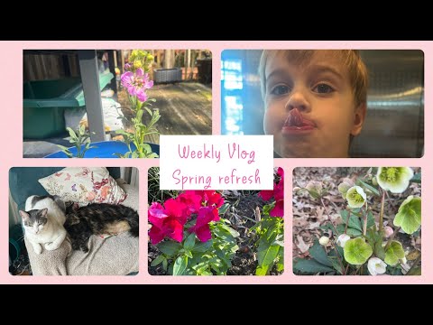 Weekly vlog mid March