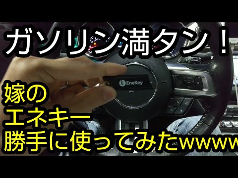 嫁のエネキー使ってマスタングにガソリン入れてみた！ マスタング エコブースト 2015 ford mustang