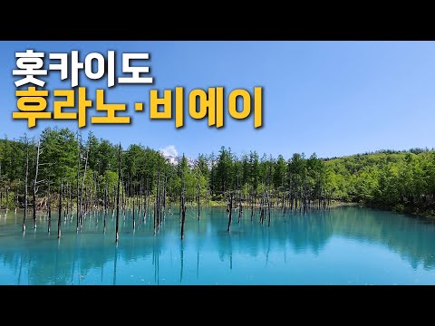 (ENGSUB)Nature of Hokkaido, Furano Bei | Blue Pond | Farm Tomita | lavender | hairy crop