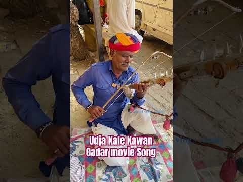 Udja kale kawan gadar movie song | Udja kale song in Rajasthani music | udja kale kawan song