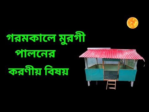 পোলট্রি খামারে প্রচণ্ড গরমের ৫ মিনিটে সমাধান || Solve the heating problem of poultry farm।