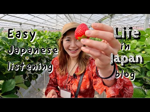 Life in Japan vlog in Japanese | Strawberry picking