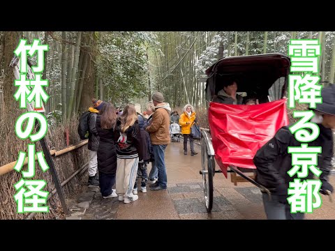 2025年1月10日 雪降る京都嵐山竹林の小径を歩く Walking the bamboo forest trails of Arashiyama 【4K】