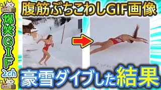 【2ch面白い画像】最高に面白いgifで笑ったら負けwww