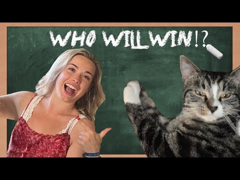 JUMP BATTLE Classroom Special! Teacher vs Cat with breaks