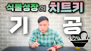 식물 성장이 몇배로 빨라지는 원리 ! 기공을 알면 가능해집니다