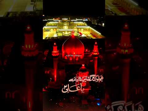 Hum Log Margaye | Mir Hasan Mir 21 Ramzan Noha watsApp Status 1446/2025 #shortvideo #viral#21ramazan