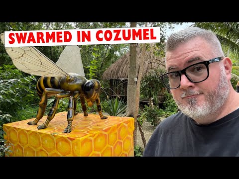 This Cruise Excursion was Interesting | Cozumel